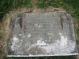 image of grave number 548657